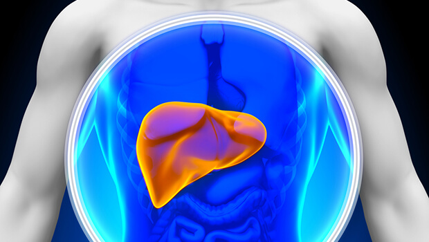 4 Foods to help you protect your Liver